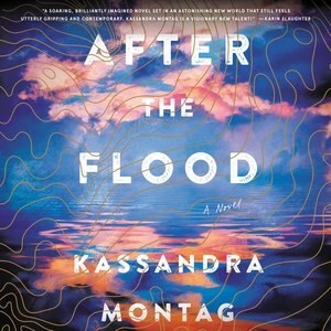 After The Flood: A Novel