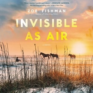 Invisible As Air: A Novel