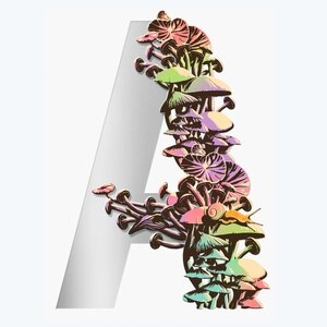 Couverture_Ambergris