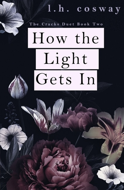 Front cover_How the Light Gets In