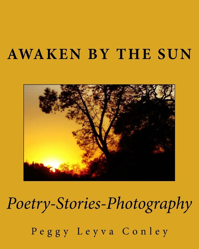 Front cover_Awaken by the Sun