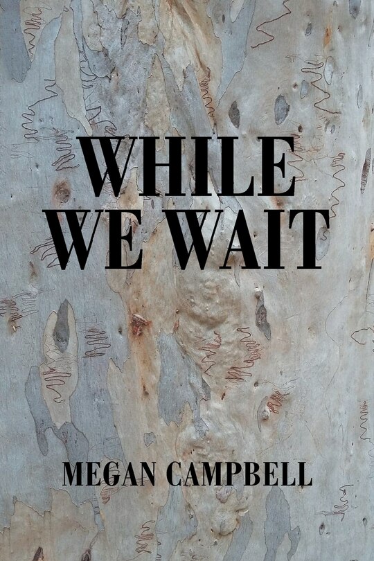 Couverture_While We Wait