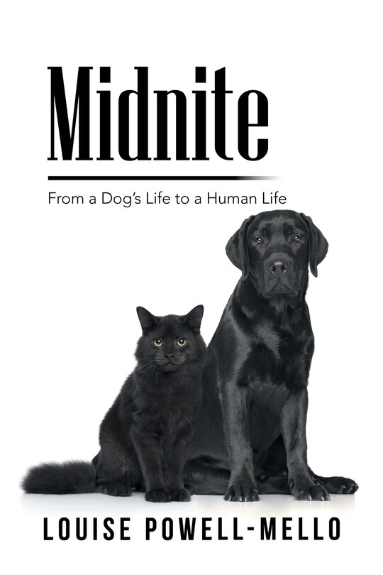 Couverture_Midnite