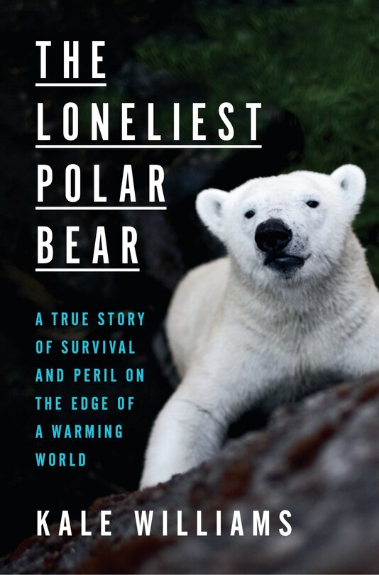 Front cover_The Loneliest Polar Bear