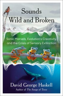 Couverture_Sounds Wild And Broken