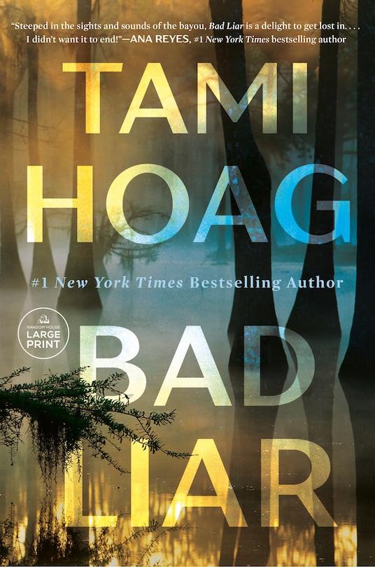 Front cover_Bad Liar