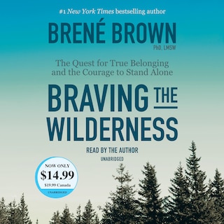 Front cover_Braving The Wilderness