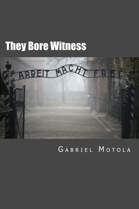 They Bore Witness: Critical Essays on Victims of the Holocaust