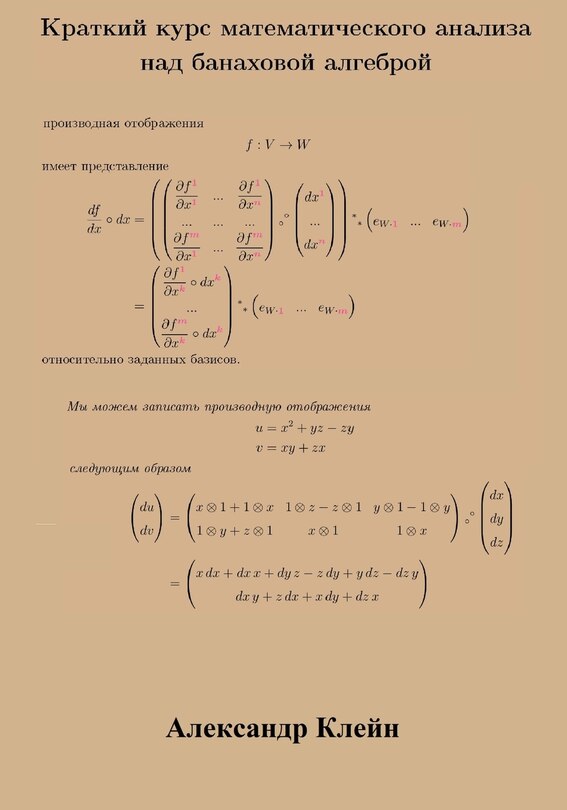 Front cover_Crash Course in Calculus over Banach Algebra (Russian Edition)