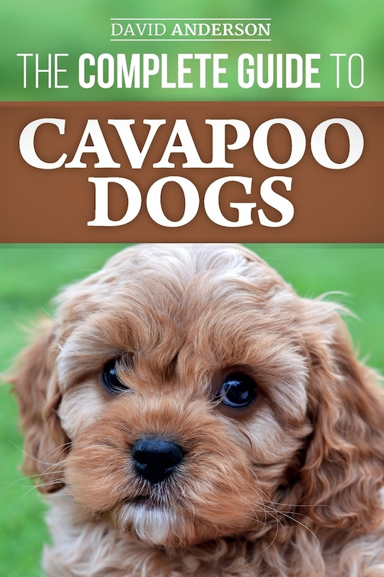 Front cover_The Complete Guide to Cavapoo Dogs