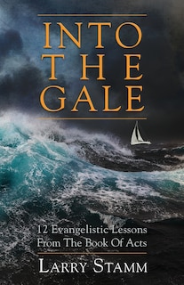Couverture_Into The Gale