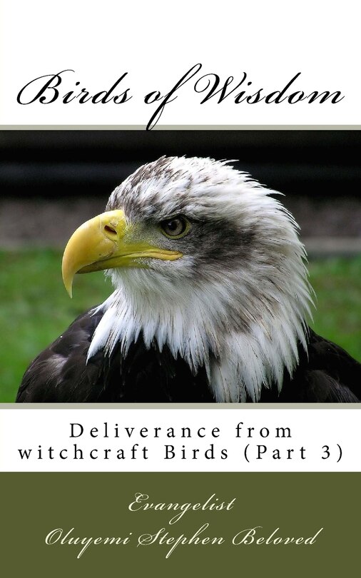Front cover_Birds of Wisdom