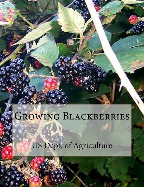 Couverture_Growing Blackberries