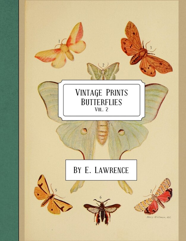 Vintage Prints: Butterflies: Vol. 2