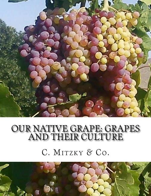 Our Native Grape: Grapes and Their Culture: A List of Old and New Grape Varieties