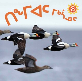 Front cover_All About Birds
