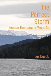 Front cover_The Perfect Storm