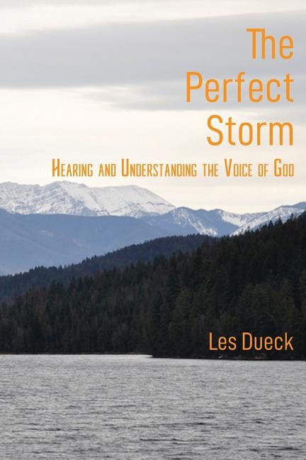 Front cover_The Perfect Storm