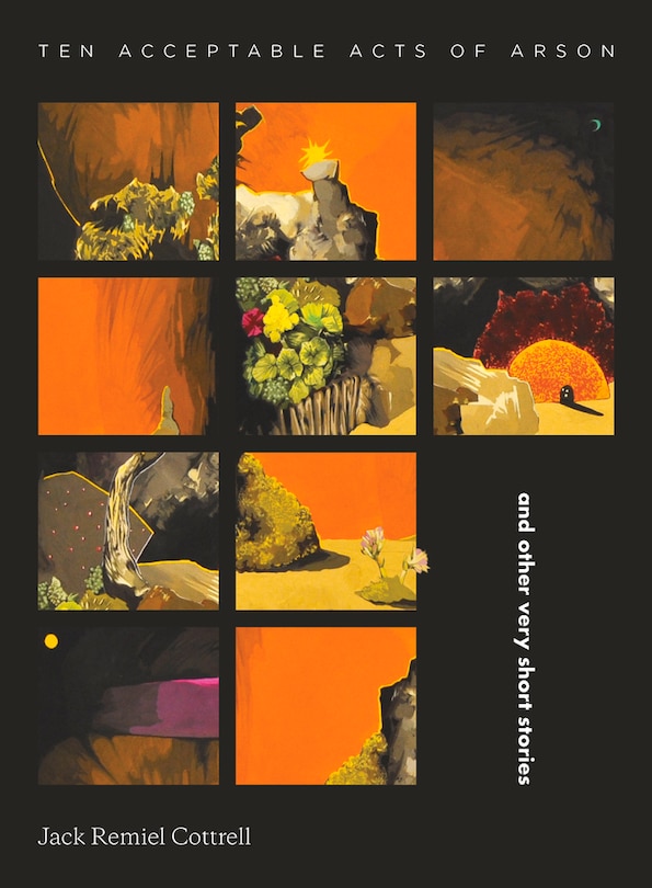 Front cover_Ten Acceptable Acts Of Arson