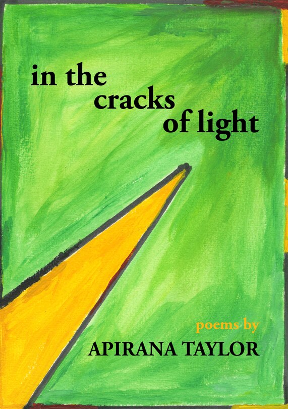 Front cover_In the cracks of light