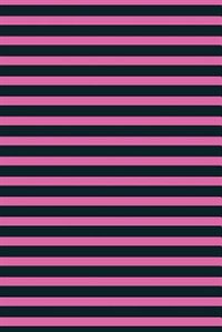Lizzie Timewarp Notebook (black and pink striped)