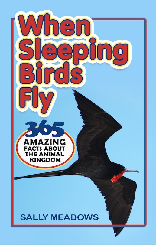 Front cover_When Sleeping Birds Fly