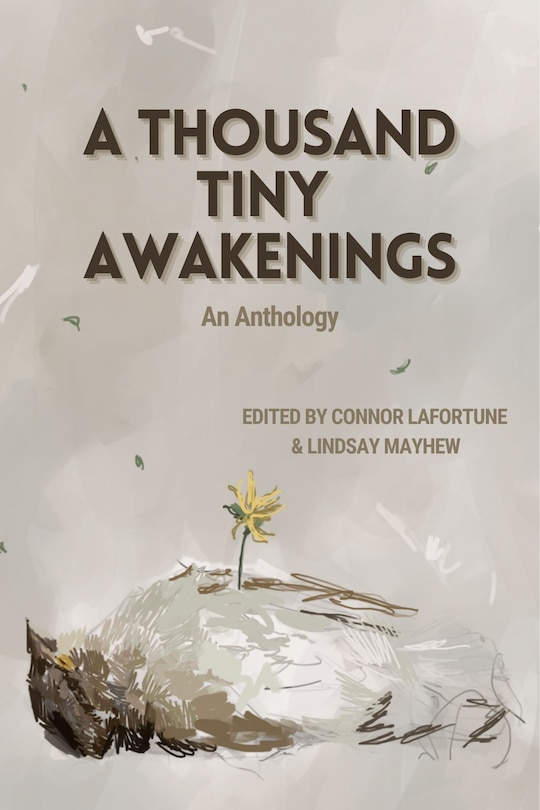 Couverture_A Thousand Tiny Awakenings