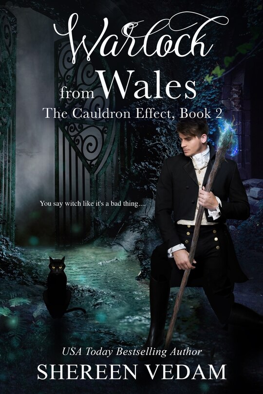 Warlock From Wales: The Cauldron Effect, Book 2