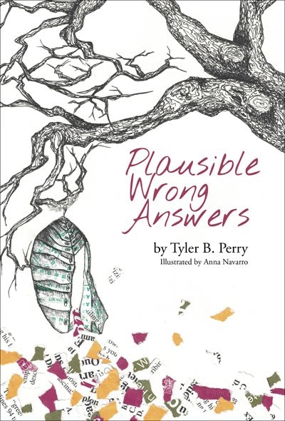 Couverture_Plausible Wrong Answers