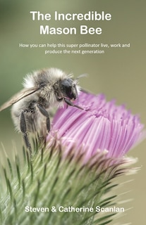Front cover_The Incredible Mason Bee