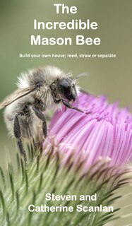 Front cover_The Incredible Mason Bee