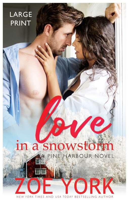 Front cover_Love In A Snowstorm