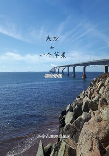 Couverture_失控和一个苹果