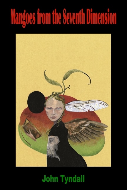 Front cover_Mangoes from the Seventh Dimension