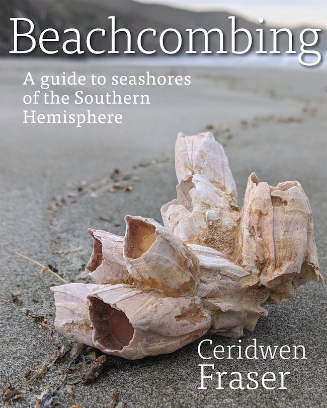 Couverture_Beachcombing