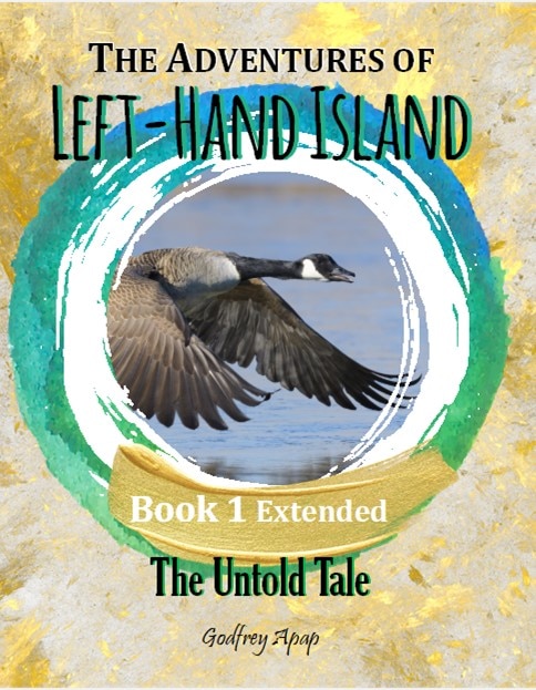 Front cover_The Adventures of Left-Hand Island