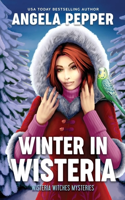 Front cover_Winter in Wisteria
