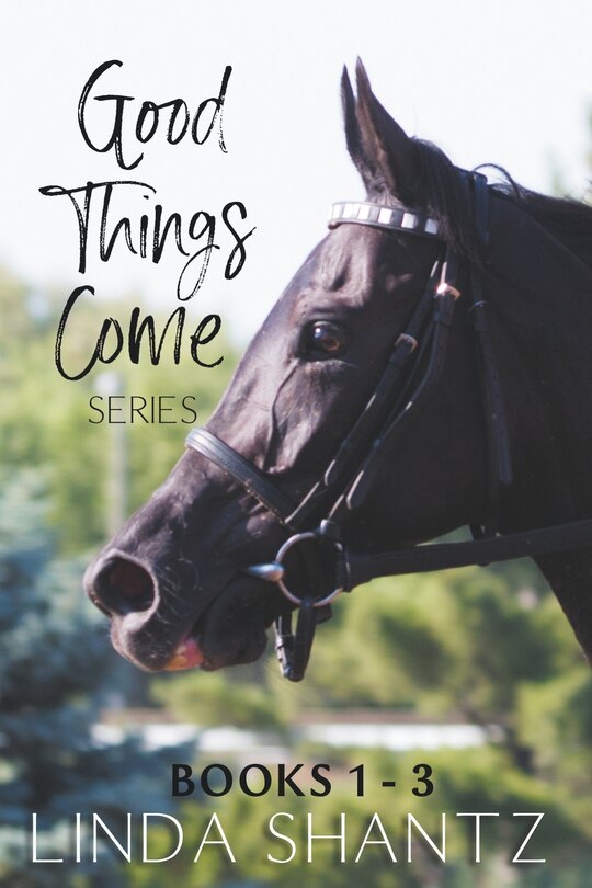 Front cover_The Good Things Come Series