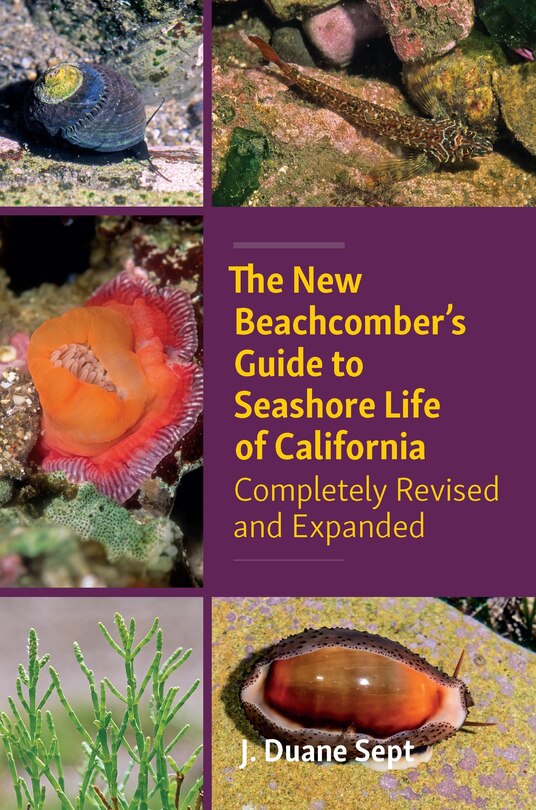 Couverture_The New Beachcomber’s Guide to Seashore Life of California
