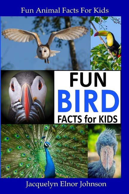 Couverture_Fun Bird Facts for Kids