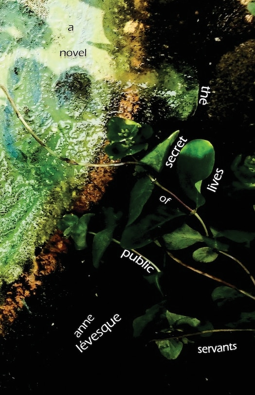 Couverture_The Secret Lives of Public Servants