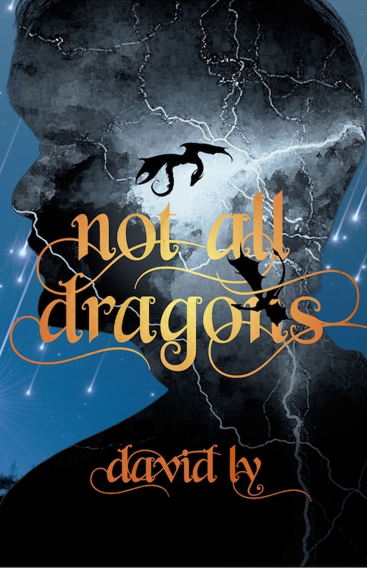 Front cover_Not All Dragons