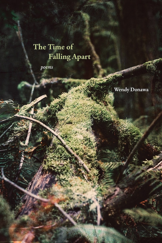 Front cover_The Time of Falling Apart