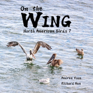 Front cover_On the Wing - North American Birds 7