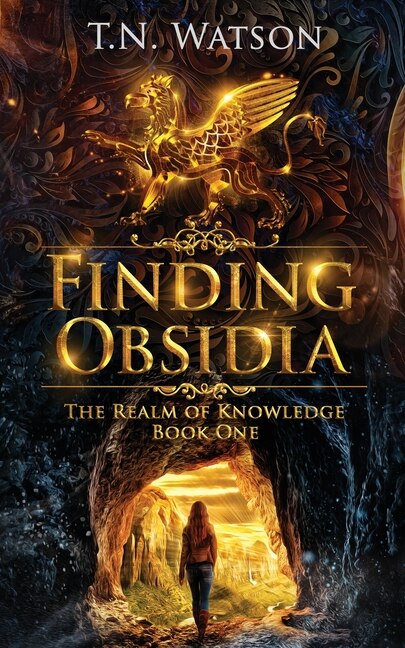 Couverture_Finding Obsidia