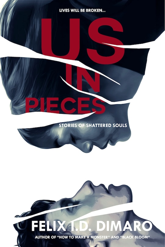 Front cover_Us in Pieces