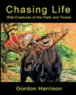 Front cover_Chasing Life