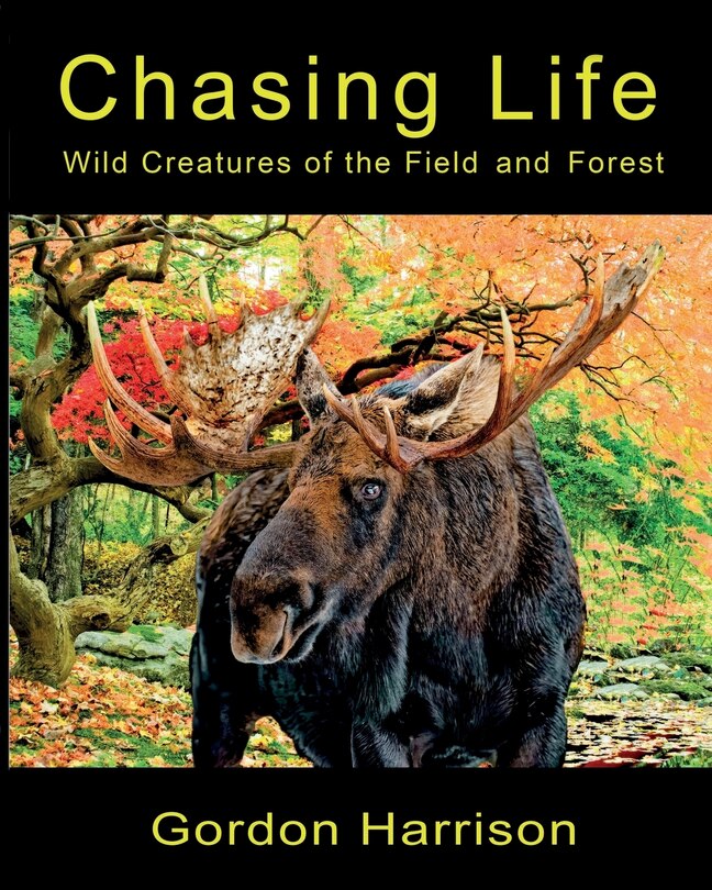 Front cover_Chasing Life