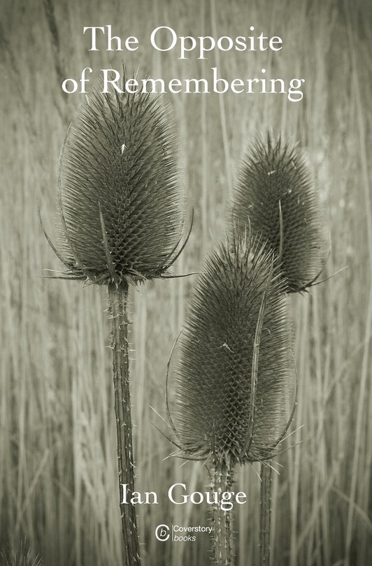 Front cover_The Opposite of Remembering