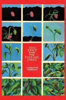Couverture_You Can't Own the Fucking Stars